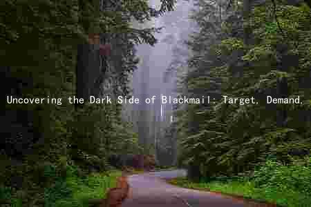 Uncovering the Dark Side of Blackmail: Target, Demand, and Access
