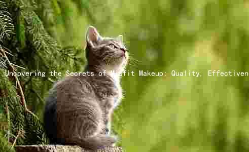 Uncovering the Secrets of Misfit Makeup: Quality, Effectiveness, and Safety