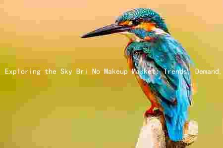 Exploring the Sky Bri No Makeup Market: Trends, Demand, Competition, Risks, and Future Prospects